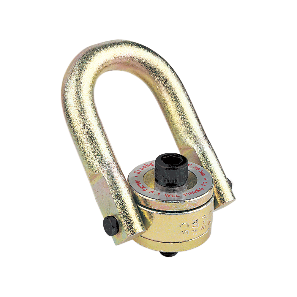 Metric Swivel Hoist Rings Crosby HR-125M			
