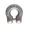 Clevis Shackle cromox CGS Stainless