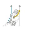 Hvordan bruke Petzl ASAPsorbers AXESS