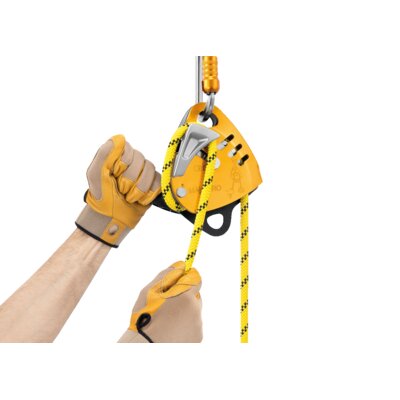 Petzl Descender MAESTRO S