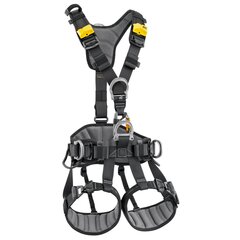 Harness AVAO® FAST International Version