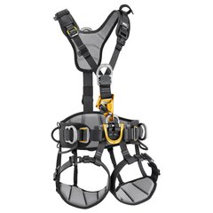 Harness ASTRO® European Version
