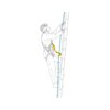 Falldemper ASAP'SORBER, Petzl