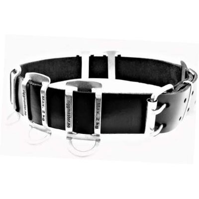 D-ring Belte R5001 (40 mm) R5002 (50 mm)