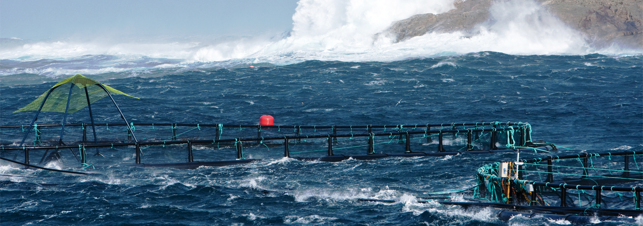 Certex Norge leverer kvalitetsustyr til fiskeoppdrett