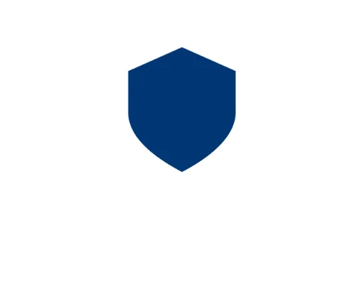 Blue icon Shield