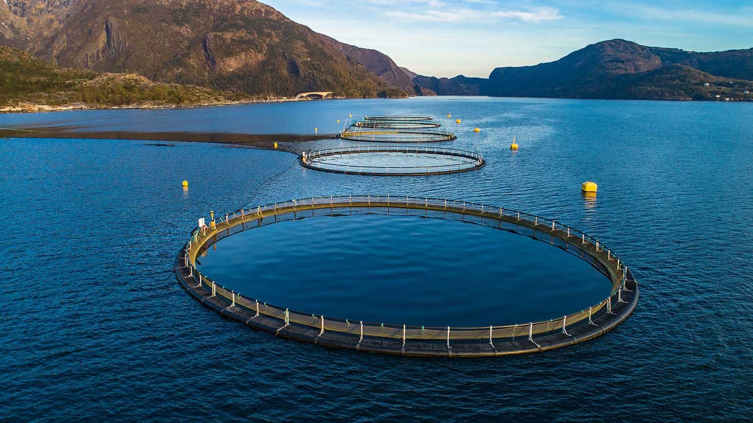 Mooring and aquaculture